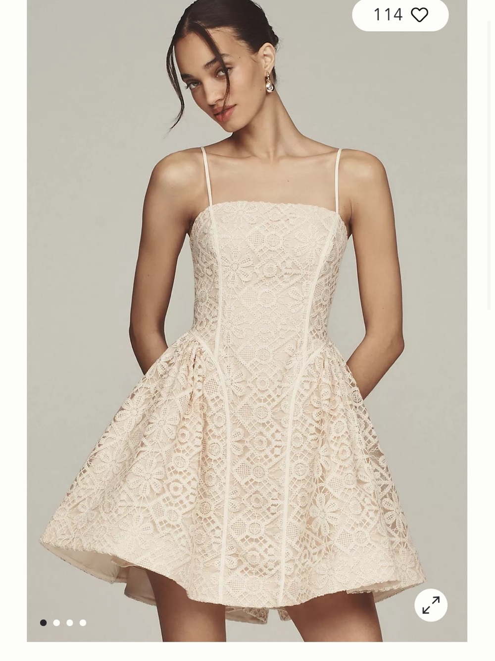 Anthropologie / Hutch Neutral Lace Corset Fit & Flare Mini Dress Size 6